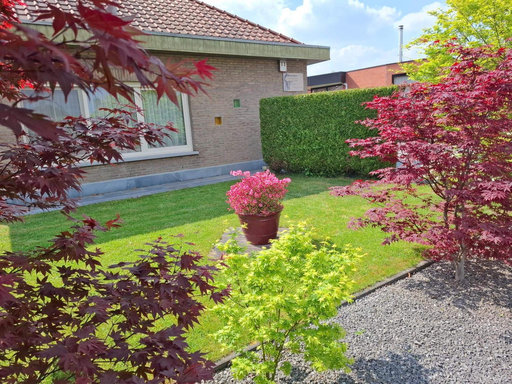 B&B Sogni D'Oro Lovendegem Exterior photo